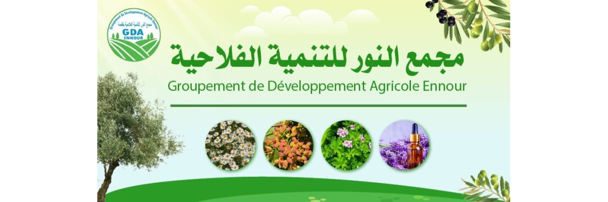 GDA Al Nour pour le développement agricole de Gafsa